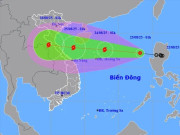 Tin tức - Bão số 5 rất mạnh hướng vào từ Thanh Hóa - Quảng Trị, gây mưa rất to tới 600 mm