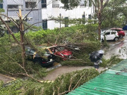 Tin tức - Nghệ An ngổn ngang sau bão