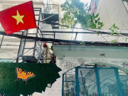 Tin tức - Cảm động mái ấm "0 đồng" tri ân cựu chiến binh về Hà Nội xem diễu binh, diễu hành