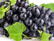 Sức khỏe - Người cao tuổi nên ăn uống, sinh hoạt thế nào trong mùa thu?