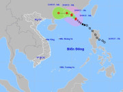 Tin tức - Cập nhật thông tin mới nhất về bão số 8