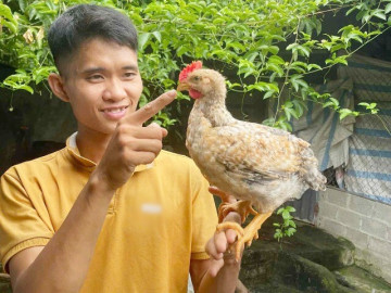 Mạnh dạn nuôi gà theo kiểu nhàn tênh, anh nông dân Phú Thọ thu lãi 30 triệu đồng/tháng 