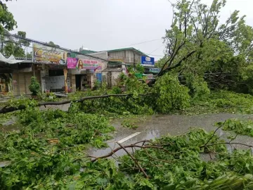 VIDEO: Tan hoang sau khi cuồng phong do bão số 5 quét qua