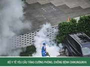 Clip Eva - Bộ Y tế yêu cầu tăng cường phòng, chống bệnh Chikungunya