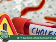 Clip Eva - Bộ Y tế cảnh báo nguy cơ dịch tả xâm nhập Việt Nam