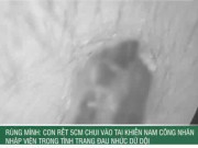 Clip Eva - Rùng mình: Con rết 5cm chui vào tai khiến nam công nhân nhập viện trong tình trạng đau nhức dữ dội