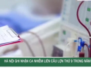 Clip Eva - Hà Nội ghi nhận ca nhiễm liên cầu lợn thứ 9 trong năm