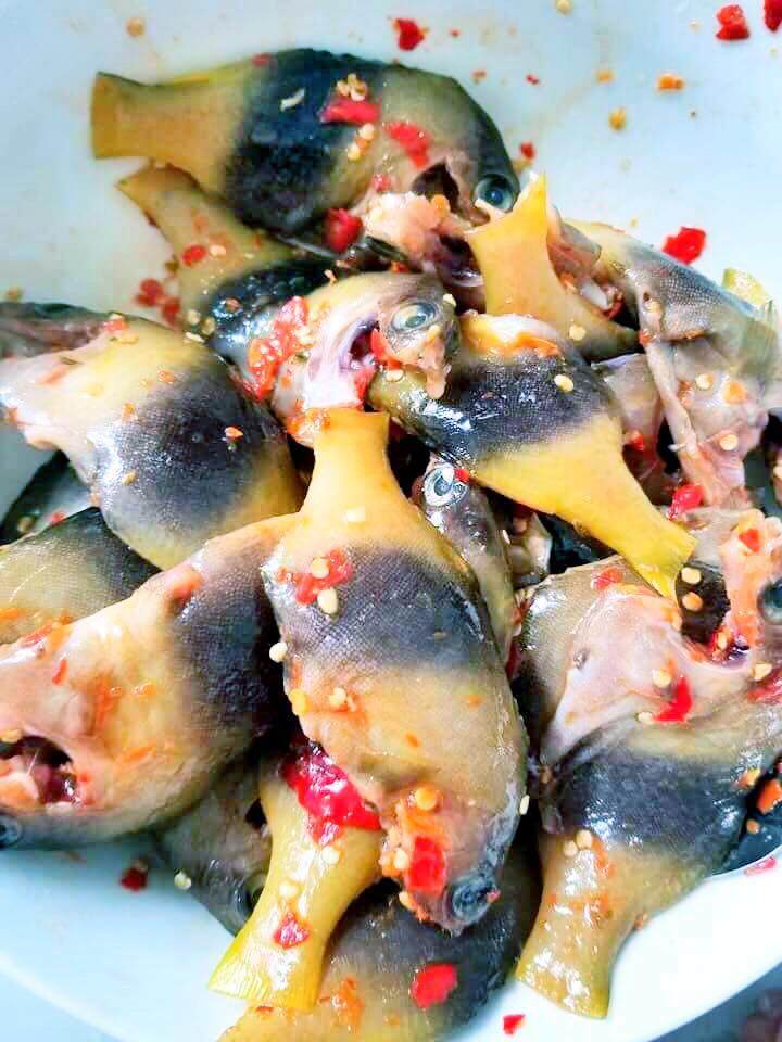 Loài cá tên kỳ quặc chỉ có ở Nha Trang, giá cao ngất ngưởng vẫn amp;#34;cháy hàngamp;#34; liên tục nhờ vị ngon hiếm có - 3