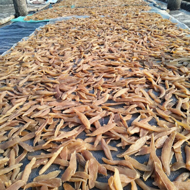 Món ăn hot trend TikTok lại là đặc sản nhà nghèo chỉ có ở Quảng Bình, còn lọt top Kỷ lục châu Á 6 Món ăn amp;#34;hot trendamp;#34; TikTok lại là đặc sản nhà nghèo chỉ có ở Quảng Bình, còn lọt top Kỷ lục châu Á - 6