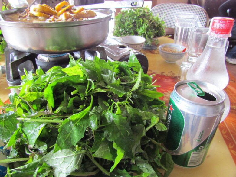 Thứ rau dại mọc đầy ngoài đồng không ai ngó, nay thành đặc sản chỉ dùng đãi khách quý lại cực tốt cho sức khỏe - 3