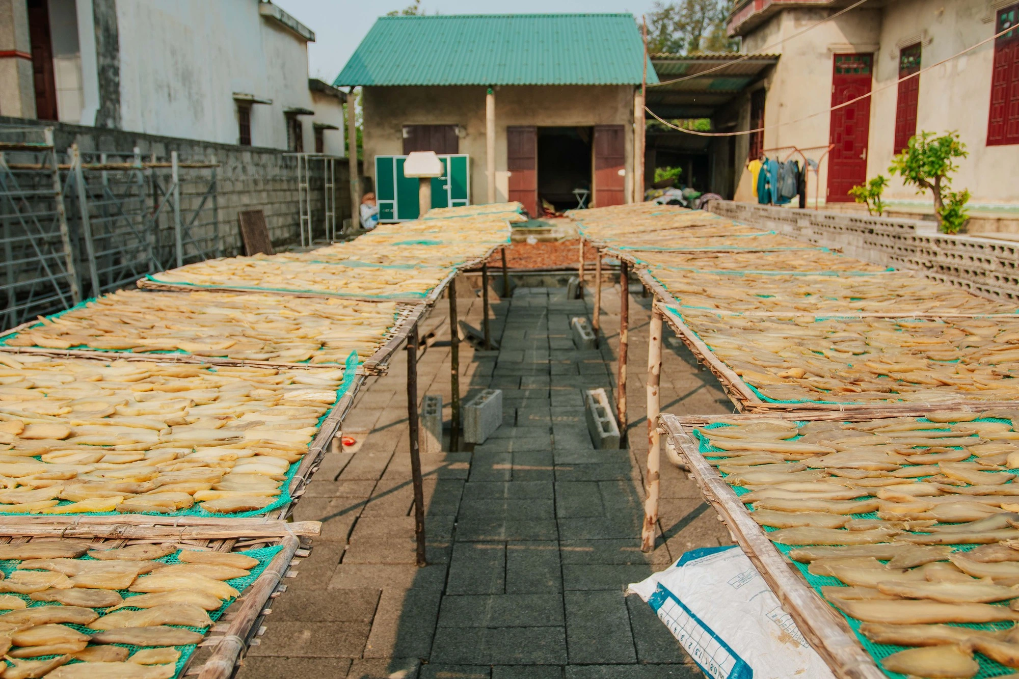 Món ăn hot trend TikTok lại là đặc sản nhà nghèo chỉ có ở Quảng Bình, còn lọt top Kỷ lục châu Á 5 Món ăn amp;#34;hot trendamp;#34; TikTok lại là đặc sản nhà nghèo chỉ có ở Quảng Bình, còn lọt top Kỷ lục châu Á - 5