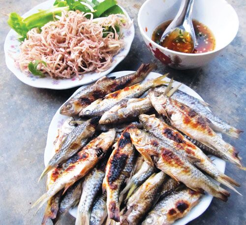 Loài cá tên lạ xưa bị chê bai nay thành đặc sản ăn một lần là mê, ngon hơn cả amp;#34;mâm cao cỗ đầyamp;#34; - 4