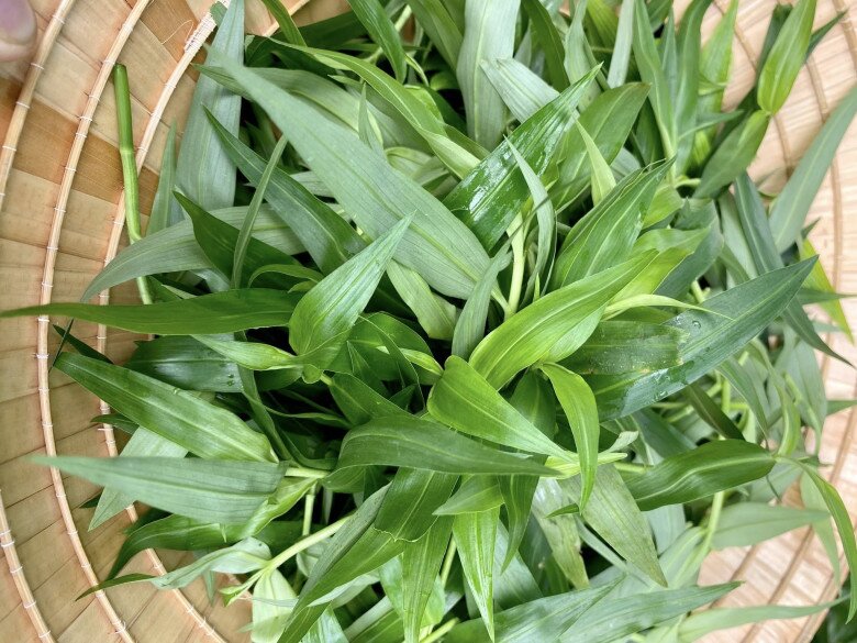 Loại cỏ dại xưa chỉ cho lợn ăn nay amp;#34;lên đờiamp;#34; thành đặc sản siêu bổ dưỡng, giá đến 70.000đ/kg vẫn nườm nượp người mua - 2