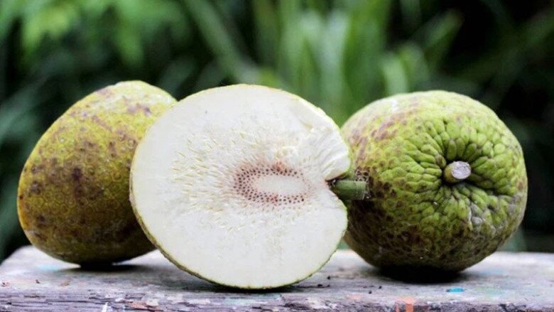 Loại quả bề ngoài như quả mít, ăn vị như khoai tây lại là đặc sản nức tiếng miền Tây amp;#34;thần dượcamp;#34; cho sức khỏe - 2