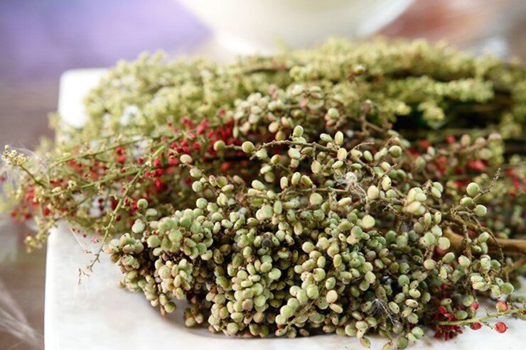 Loại quả có vị lạ chưa từng có xưa không ai bán, nay được người sành ăn lùng mua, tạo hương vị độc đáo cho bàn tiệc cao cấp - 4