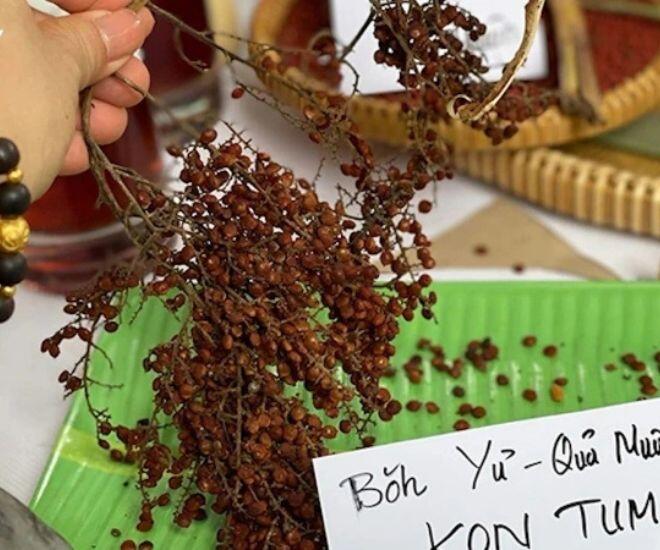 Loại quả có vị lạ chưa từng có xưa không ai bán, nay được người sành ăn lùng mua, tạo hương vị độc đáo cho bàn tiệc cao cấp - 1