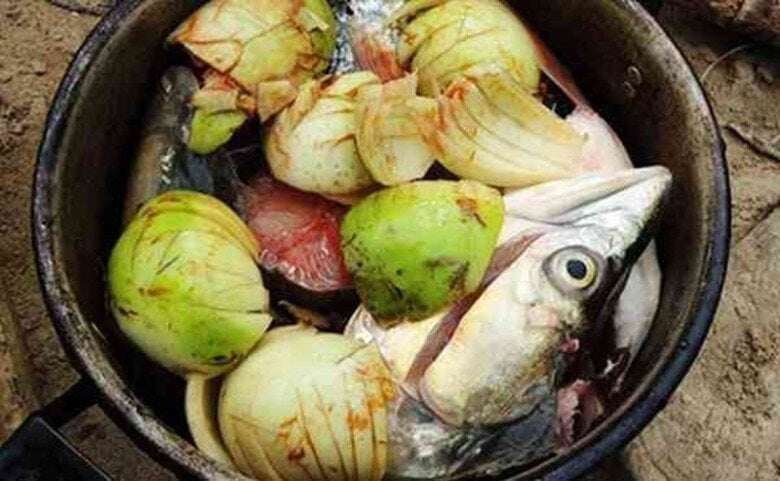 Loại quả quê xưa rụng đầy không ai nhặt, nay xuống phố thành đặc sản amp;#34;vạn người mêamp;#34;, đem nấu canh ngon xuất sắc - 3
