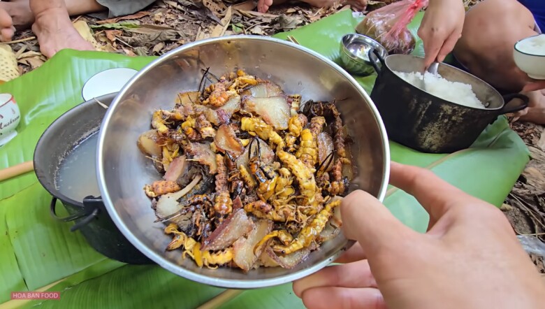 Loài vật khiến ai cũng sợ chết khiếp hóa ra là món ăn biểu tượng vùng Tây Bắc, cực hiếm chỉ dùng để đãi khách quý - 3