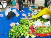 Lifestyle - Phiên chợ độc nhất giữa lòng Thanh Hóa: Chỉ họp 1 buổi trong tuần, trao đổi hàng hóa không cần mặc cả