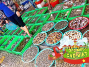 Lifestyle - Khu chợ hải sản rẻ bậc nhất Vũng Tàu, là tín đồ ẩm thực không thể nào bỏ qua!