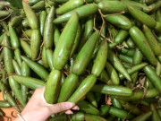 Lifestyle - Quả dại rụng đầy trên rừng không ai hái nay "lên đời" thành thứ quả "xa xỉ", dân thành phố đua nhau lùng mua bằng được