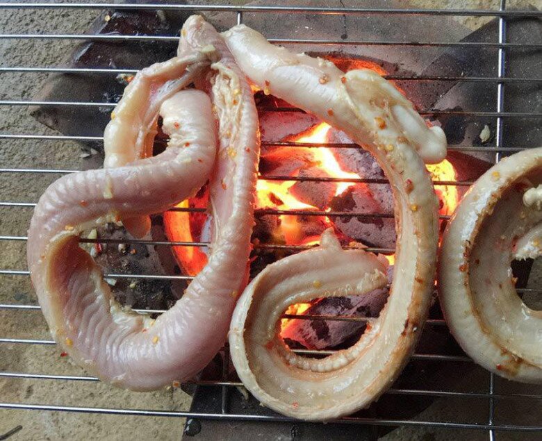 Loài cá bề ngoài khiến nhiều người sợ chết khiếp lại là đặc sản Bình Định, có cái tên amp;#34;thoắt ẩn thoắt hiệnamp;#34; gây tò mò - 3