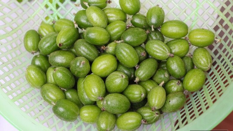 Thứ quả vừa chua vừa chát xưa cho không ai lấy nay ra nước ngoài được săn đón, giá đến 3.5 triệu/cây - 5