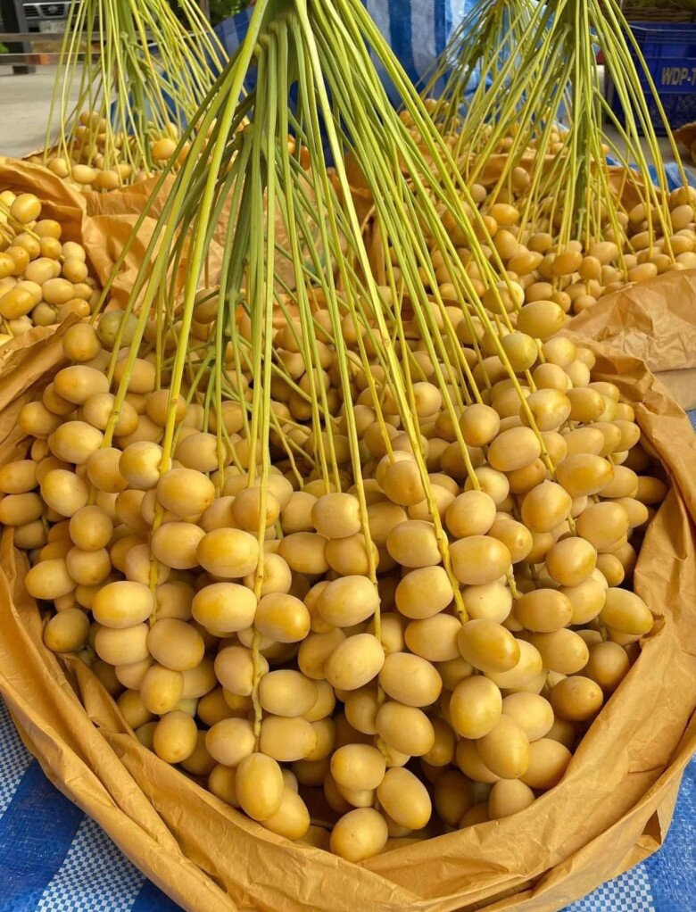 Thứ quả amp;#34;nhà giàuamp;#34; nay ngập tràn đường phố Hà Nội: Người ăn thấy mê người chê chưa đủ xuất sắc - 4
