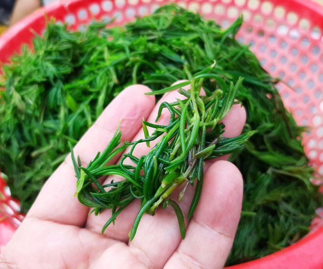 Thứ rau amp;#34;ăn sương hít khí trờiamp;#34; xưa rẻ bèo không ai mua, nay thành đặc sản người thành phố lùng tìm - 1