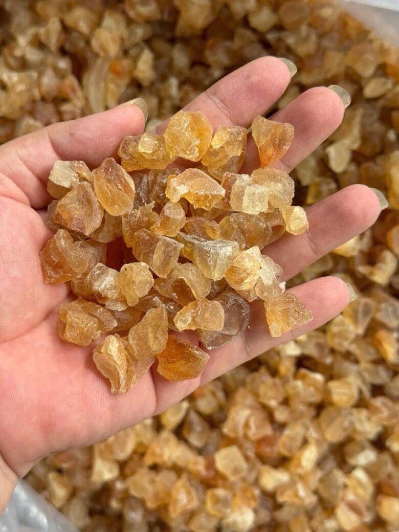 Thứ tiết ra từ vết thương của cây xưa không ai ngó, nay được amp;#34;săn lùngamp;#34; vì nổi danh là amp;#34;vàng trắngamp;#34; nhờ giàu dinh dưỡng - 4