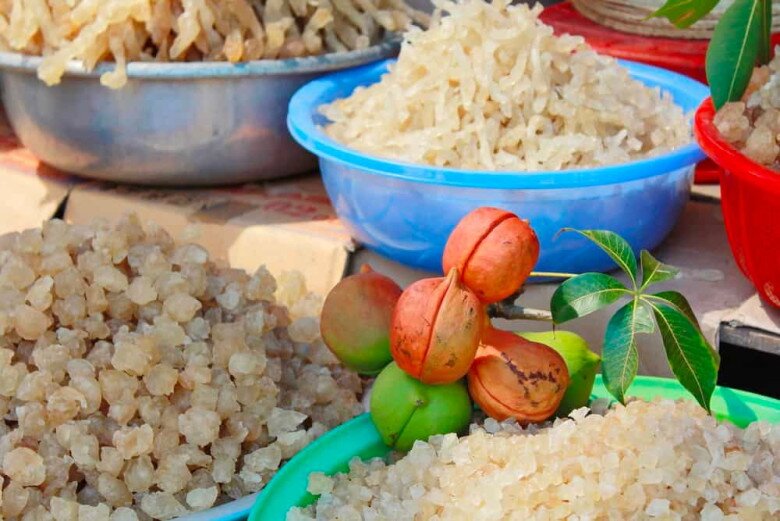 Thứ tiết ra từ vết thương của cây xưa không ai ngó, nay được amp;#34;săn lùngamp;#34; vì nổi danh là amp;#34;vàng trắngamp;#34; nhờ giàu dinh dưỡng - 3