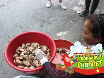 Về khu chợ độc nhất vô nhị ở Hải Phòng, chỉ bán một loại thịt rùng rợn mà cực kỳ đông khách