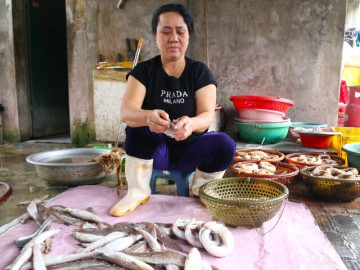 Loài cá ông trời chỉ có ở Nghệ An, xưa là món ăn dân dã nay được chị em lùng mua bằng được vì ý nghĩa đặc biệt