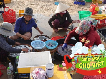 Hàng trăm phụ nữ đổ về khu chợ cá Quảng Ngãi mỗi sớm tinh mơ, cái tên lạ khiến nhiều người khó hiểu