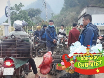 Lạ kỳ phiên chợ “người đứng, cá nằm” giữa núi rừng Sơn La, bán đủ sản vật hiếm nơi nào có