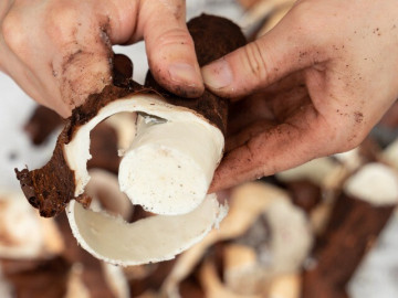 Lifestyle - Loại củ rẻ như cho xưa để dân nghèo "chống đói", nay được chế biến thành nhiều món ngon nức tiếng đặc sản nhiều nơi