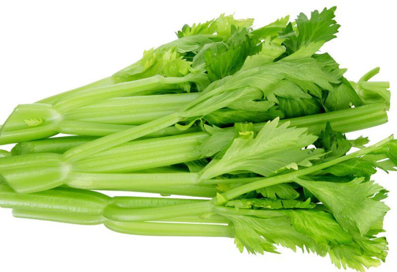 Môi trường sống của rau cần chủ yếu ở ao hồ, mương rạch, những nơi thường tù đọng nước và chứa nhiều bùn. Vì thế, trên bề mặt thân rỗng của rau cần, trứng giun, sán có thể bám rất chặt, khó rửa sạch hoàn toàn. 
