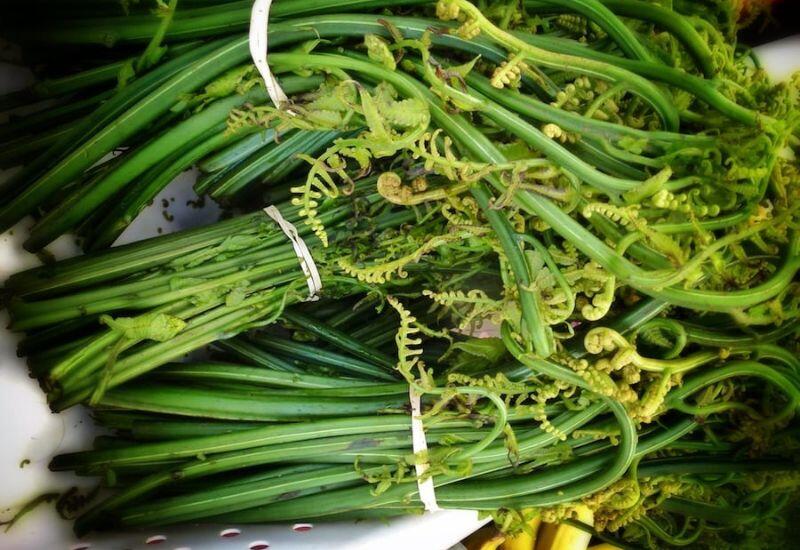 15 loại rau rừng ngon nhất Việt Nam, giàu vitamin và chất xơ, dễ tìm ở ...