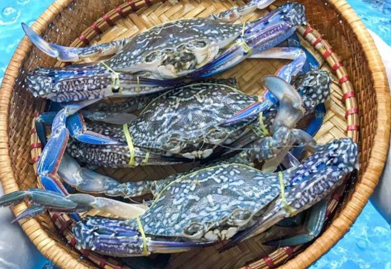 Ghẹ là loại hải sản nổi tiếng nhờ giàu canxi, kẽm, đồng, và vitamin nhóm B, đặc biệt tốt cho xương khớp, răng. Ngoài ra, ăn ghẹ thường xuyên còn giúp cơ thể bổ sung omega-3, cải thiện sức khỏe tim mạch, giảm viêm và hỗ trợ trí não. 
