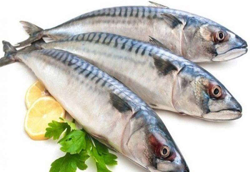 Cá thu sống ở vùng biển sâu, thuộc nhóm cá săn mồi lớn, thủy ngân tích tụ dần trong thịt cá do chúng ăn nhiều cá nhỏ hơn, dẫn đến nguy cơ gây hại sức khoẻ cho con người. Do đó, cá thu được liệt kê là một trong những loại cá có hàm lượng thủy ngân cao nhất. 
