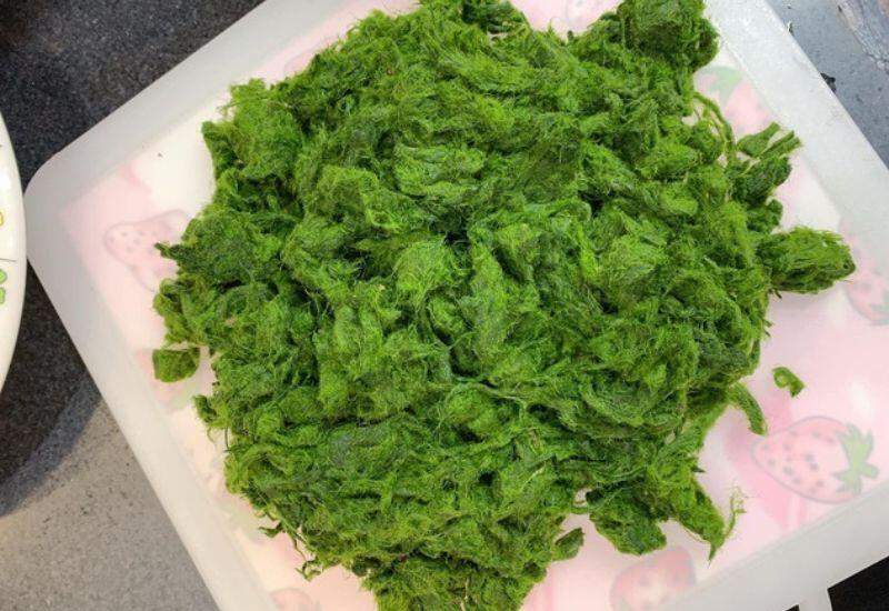 15 loại rau rừng ngon nhất Việt Nam, giàu vitamin và chất xơ, dễ tìm ở ...