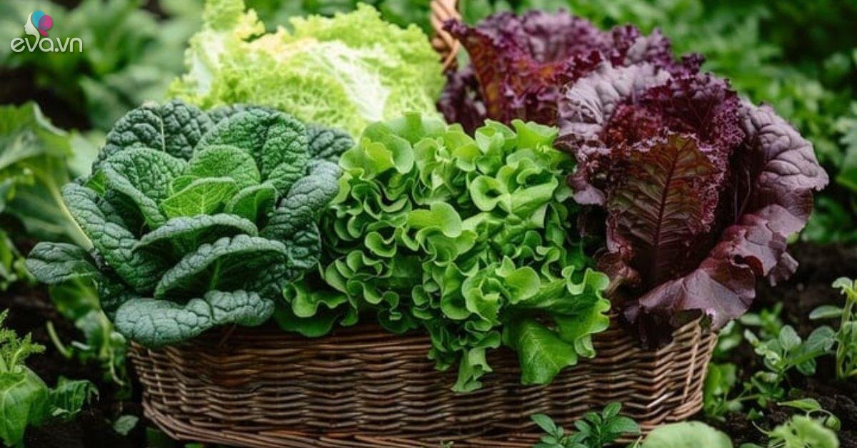 Rau sống người Việt thích mê nhưng dễ là 