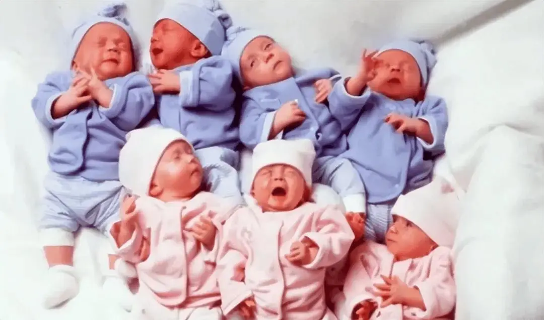 Ca sinh 7 đầu tiên trên thế giới và cuộc sống của 7 đứa trẻ sau 28 năm - 5