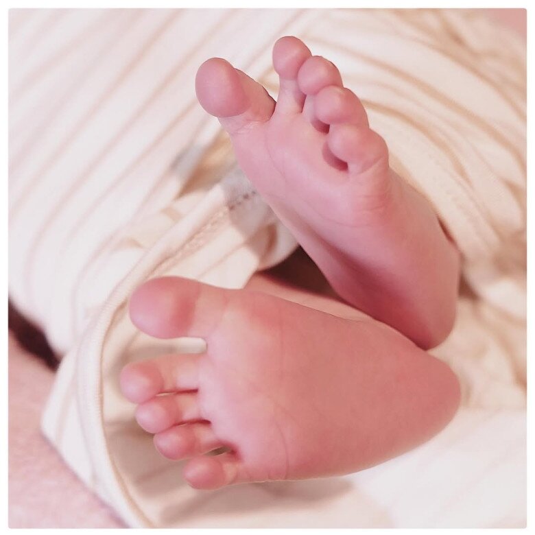 Hình ảnh đầu tiên về bé Rắn con được một người thân của nữ MC chia sẻ.