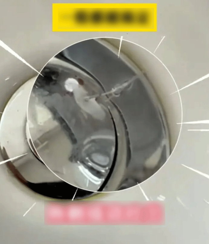 Trẻ bị hóc xương cá, bác sĩ khuyên cha mẹ nhanh chóng cho thêm một thứ vào miệng con nhưng không được nuốt - 4