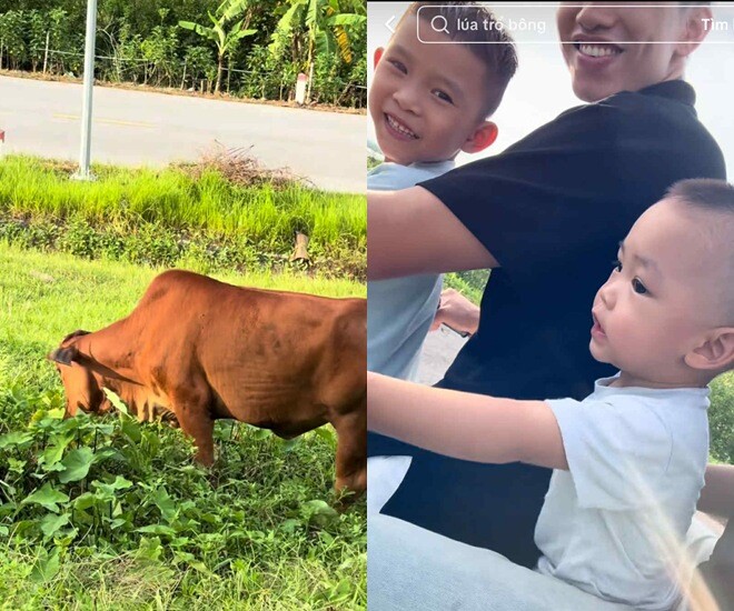 Vợ chồng Đoàn Văn Hậu chở con bằng xe máy đi xem cánh đồng.