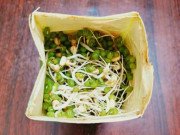 Loại rau trồng không cần đất, lớn siêu nhanh không cần thuốc, 2 ngày là được ăn, giàu canxi giúp trẻ cao lớn