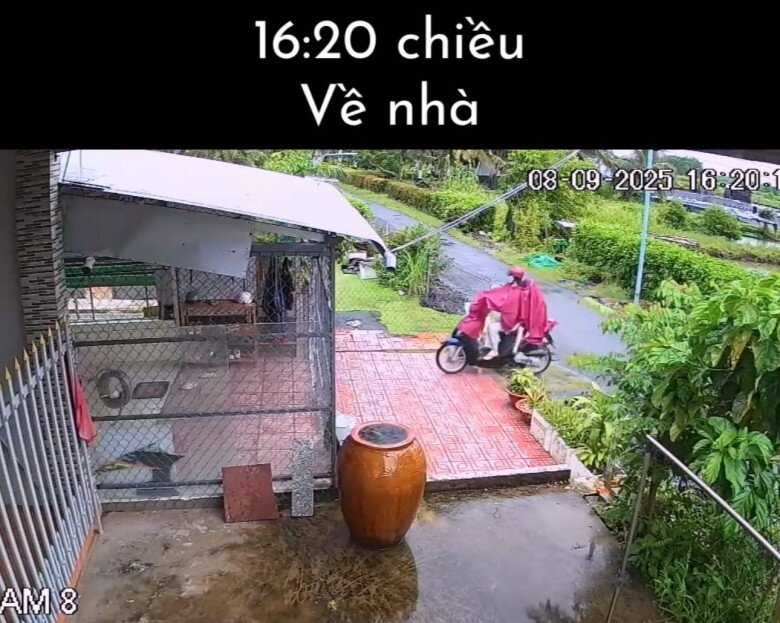Vì mới bắt đầu vào năm học nên hiện tại các con chưa đi học thêm buổi tối.