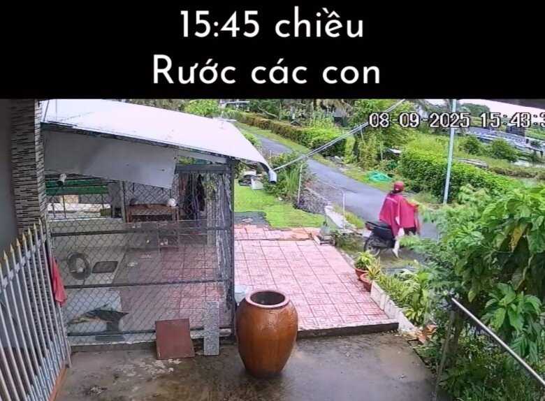 Nhật ký 1 ngày của amp;#34;khối phụ huynhamp;#34; khi các búp măng non đi học trở lại khiến dân tình cười mếu: amp;#34;Thua tài xế công nghệ mỗi cái áo xanhamp;#34; - 7