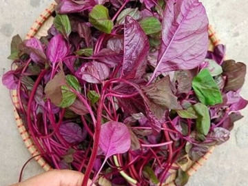 4 loại rau tăng chiều cao cho trẻ vào mùa hè vì cực giàu canxi, có loại còn vượt trội sữa bò